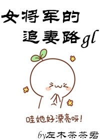女将军的追妻路gl